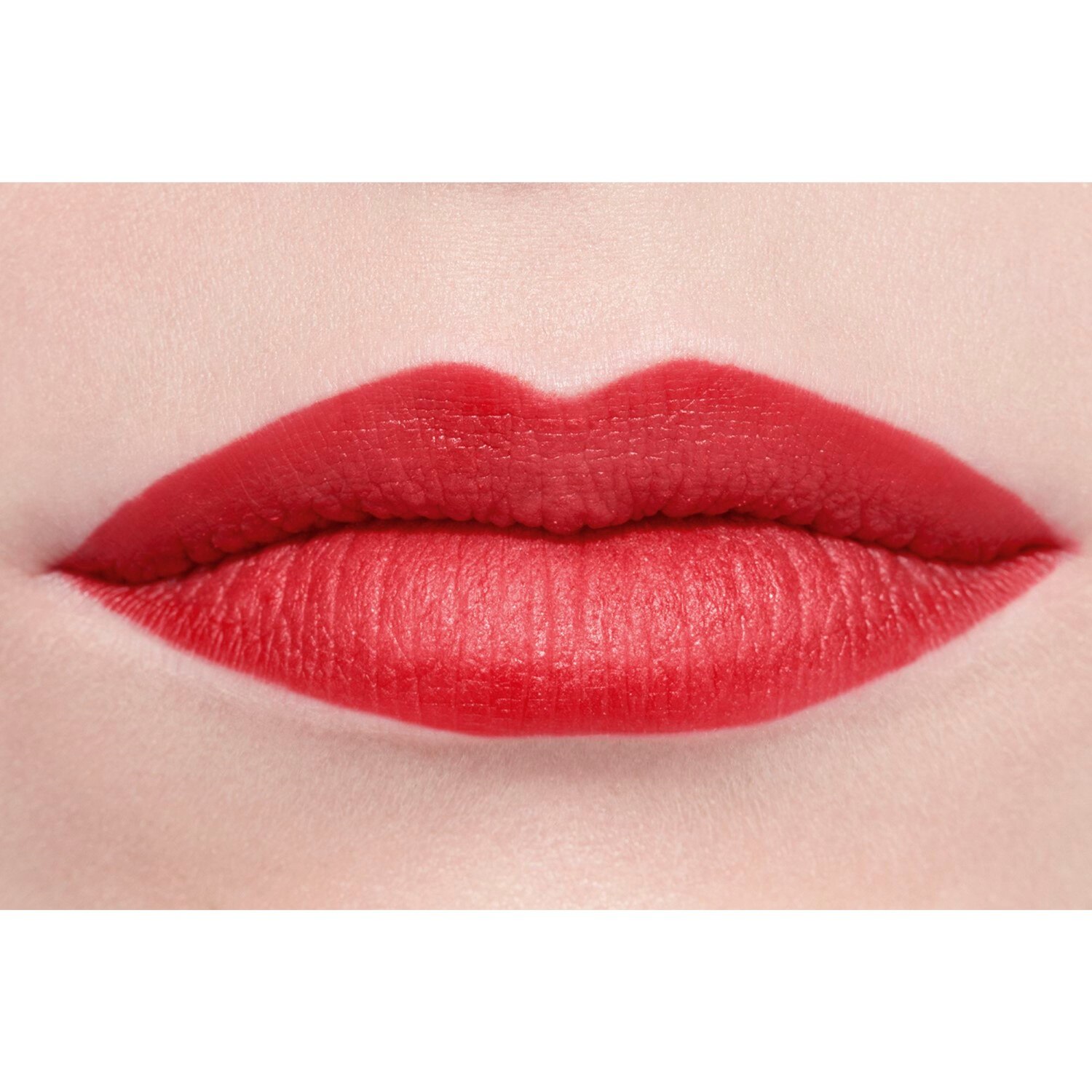 LA BARRA DE LABIOS ATERCIOPELADA LUMINOSA